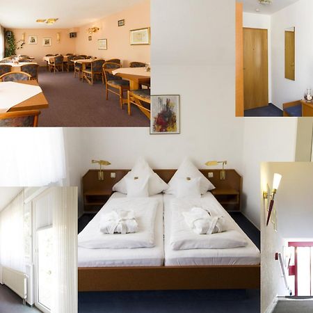 Hotel Roemerstein Mayence Extérieur photo